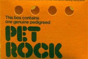 Image of a Pet Rock box