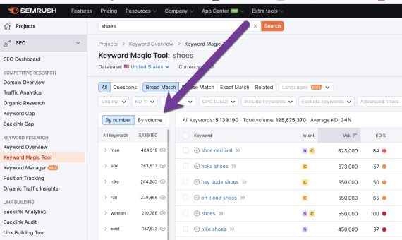 Screenshot of Keyword Magic Tool for "shoes"