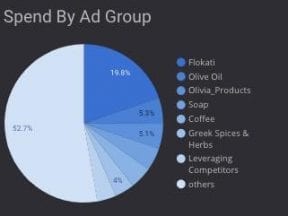 Screenshot of a pie graph on the Data Studio template