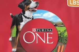 Chewy-autoship_Purina-dog-food