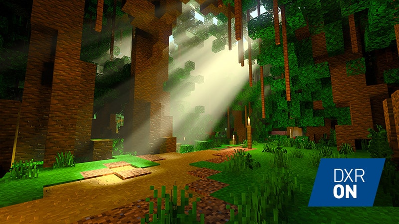Forest canopy with ray tracing
