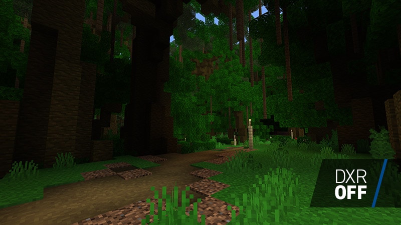 Forest canopy without ray tracing