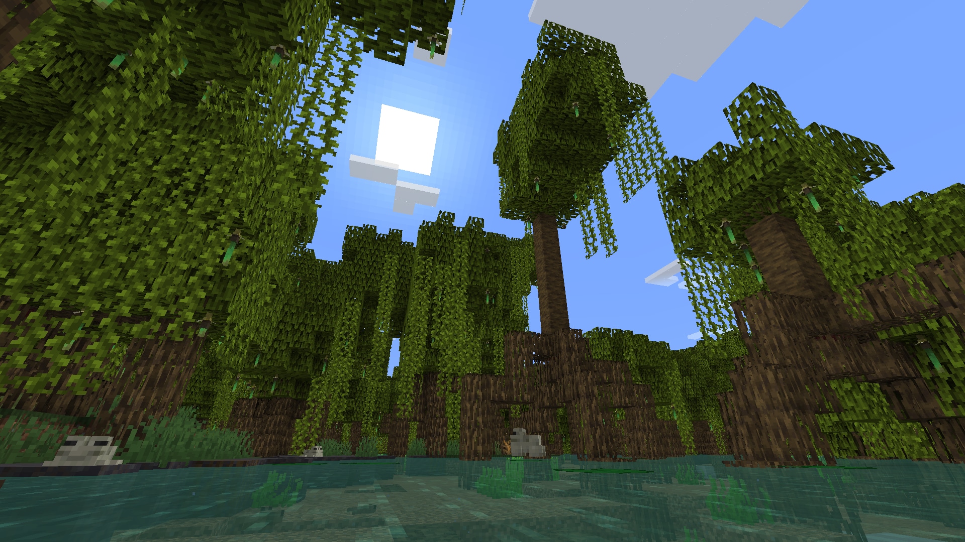 Mangrove trees growing in a swamp biome