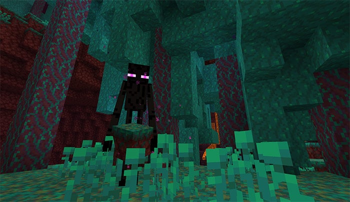 Enderman in the Nether