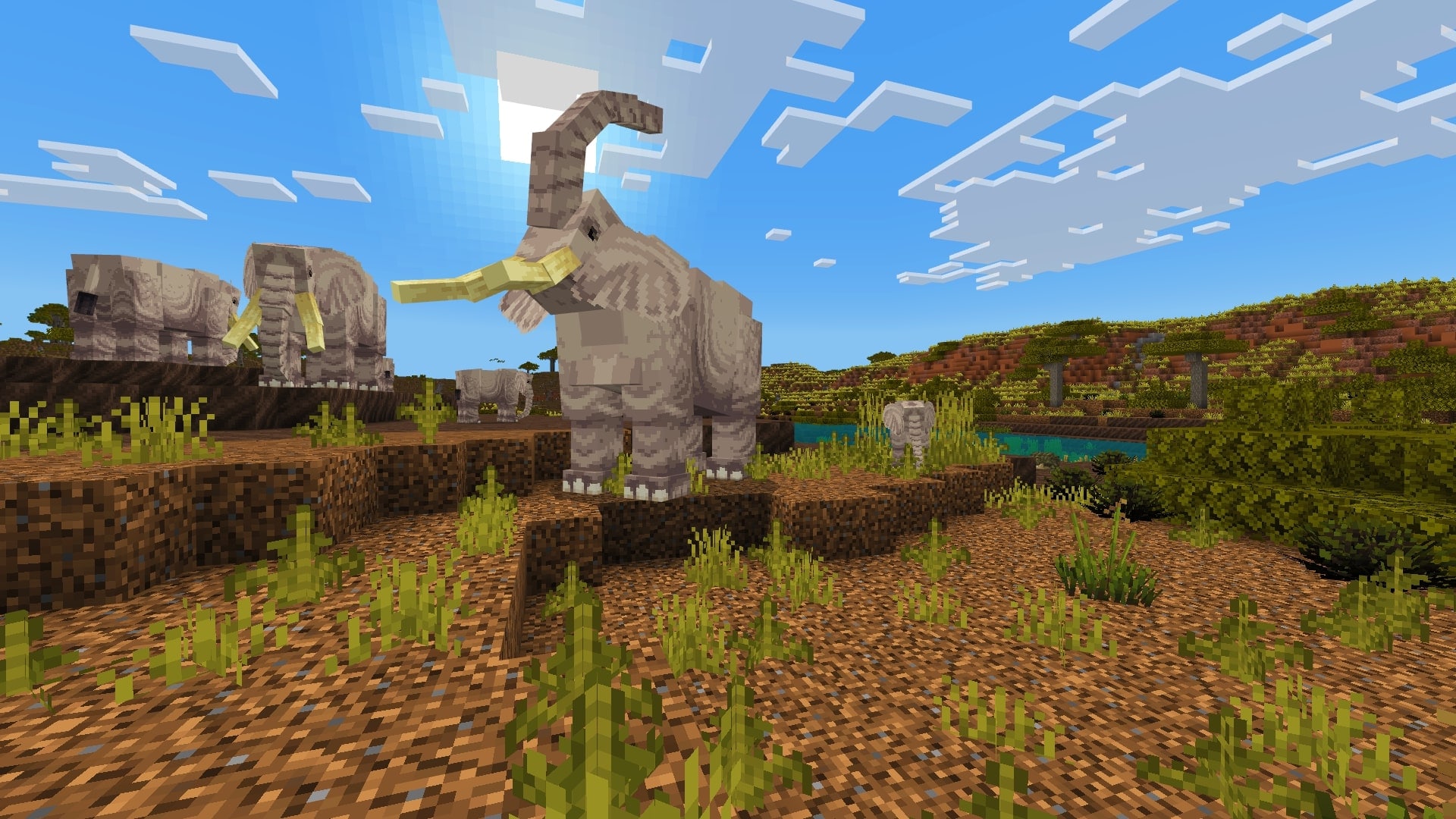 A picture of the majestic African Elephant, which you can document in Nature Snap by Razzleberries!