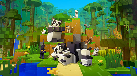 Постер обновления "Коты и панды"