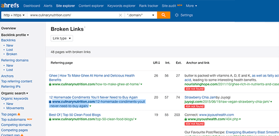 The Ahrefs tool identifies 48 broken links.